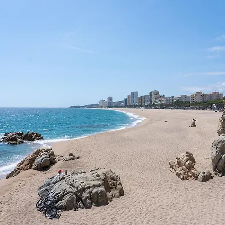 Hauzify I Estrella Apartment